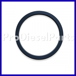 3080769 Rectangular Ring Seal Cummins Engine L10 M11 ISM QSM