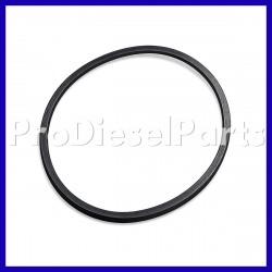 3820945 Rectangular Ring Seal Cummins Engine L10 M11 ISM QSM