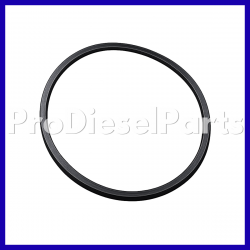 3820946 Rectangular Ring Seal Cummins Engine L10 M11 ISM QSM
