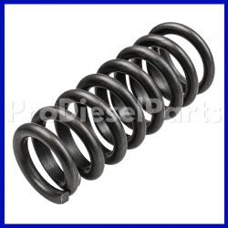 3895860 Valve Spring Cummins Engine L10, M11, ISM, QSM