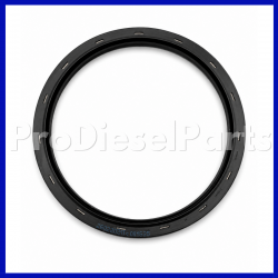 Crankshaft Oil Seal Cummins Engine ISL-Cummins Engine QSL