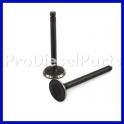 INTAKE VALVE, ENGINE V1702