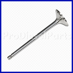 3969637 Exhaust Valve Cummins Engine ISC 8.3 QSC 8.3 ISL 8.9 QSL 8.9