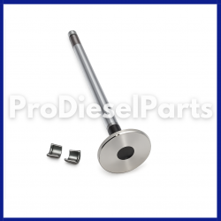 3800639 Kit Valve Exhaust Cummins Engine L10 M11 ISM11