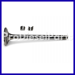 Exhaust Valve Kit Cummins Engine KT19KTA38KTA50QSK19